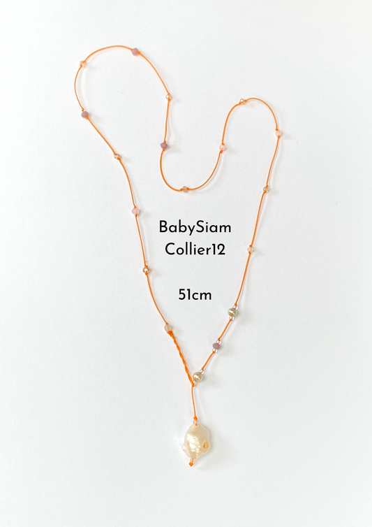 BabySiamCollier12